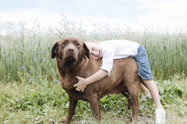 Smiling boy embracing Chocolate Labrador while standing against plants - EYAF01242