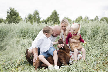 Familie spielt mit Chocolate Labrador auf einem Haferfeld - EYAF01246