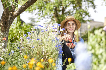 Lächelnde junge Frau isst Erdbeere, während sie inmitten von Pflanzen im Garten sitzt - UKOF00057