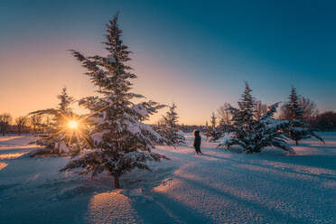 Rückenansicht der weiblichen Silhouette geht auf Schnee Gelände um grüne Tannen unter malerischen Himmel - ADSF09583