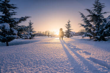 Rückenansicht der weiblichen Silhouette geht auf Schnee Gelände um grüne Tannen unter malerischen Himmel - ADSF09584