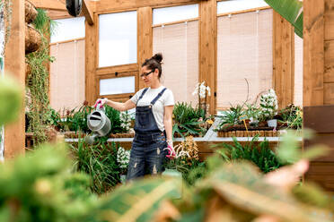 From below young female gardener smiling and watering blooming flowers and plants during work in wooden orangery - ADSF09669