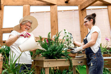 Fröhlicher älterer Gärtner, der lächelt und Grünpflanzen auf einer Holzterrasse gießt - ADSF09679