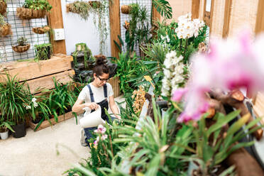 Junge Gärtnerin lächelt und gießt blühende Blumen und Pflanzen während der Arbeit in einer hölzernen Orangerie - ADSF09758