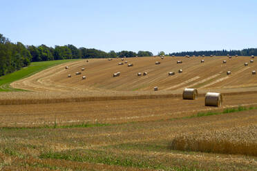 Heuballen beim Trocknen auf dem Feld - JTF01613