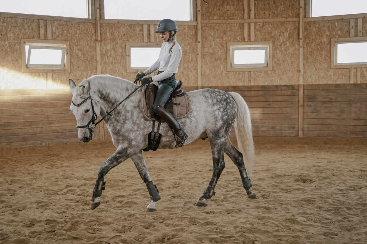 Rider riding dapple gray horse in round arena stock photo