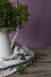 Fresh parsley in vase - ADSF09970