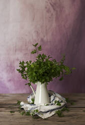 Bunch of green fresh parsley in ceramic jug placed near napkin on lumber tabletop - ADSF09971