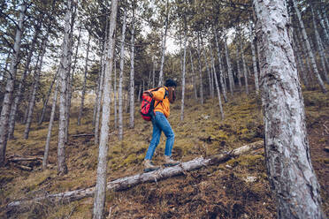 Seitenansicht einer entschlossenen Frau in warmer Kleidung mit Rucksack, die ihre Arme ausstreckt und an einem Baumstamm in einem immergrünen Wald entlanggeht - ADSF09980