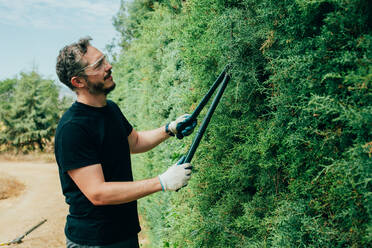 Caucasian man trimming an arizonica hedge with big scissor for garden - ADSF10137