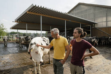 Älterer Bauer mit erwachsenem Sohn im Kuhstall auf einem Bauernhof - KNSF08298