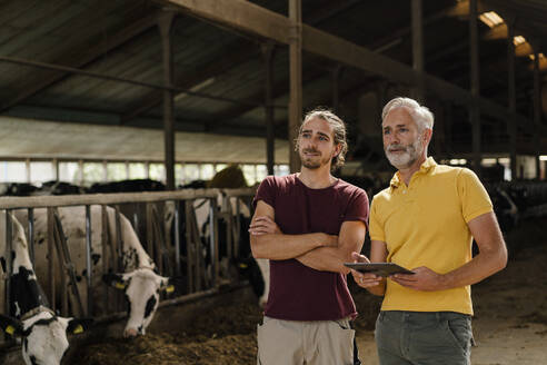 Älterer Bauer mit Tablet und erwachsenem Sohn im Kuhstall auf einem Bauernhof - KNSF08323