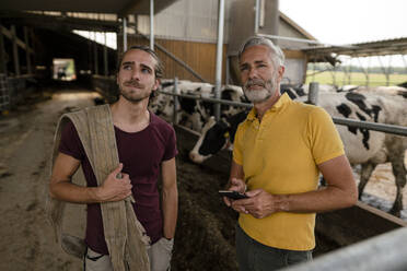 Älterer Bauer mit Smartphone und erwachsenem Sohn im Kuhstall auf einem Bauernhof - KNSF08333