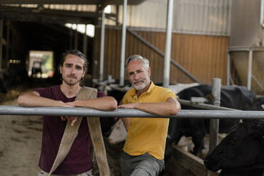 Porträt eines reifen Landwirts mit erwachsenem Sohn im Kuhstall auf einem Bauernhof - KNSF08340