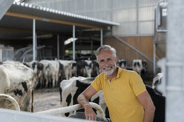 Porträt eines lächelnden reifen Landwirts im Kuhstall auf einem Bauernhof - KNSF08348
