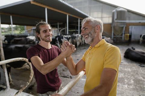 Happy mature farmer and adult son shaking hands at cow house on a farm stock photo