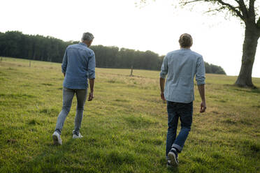 Vater und erwachsener Sohn gehen auf einer Wiese in der Natur spazieren - KNSF08373