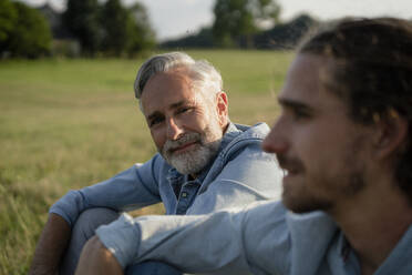 Mature father with adult son sitting on a meadow in the countryside - KNSF08377