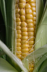 Top view of steps of fresh ripe corn peeling on black table - ADSF10170