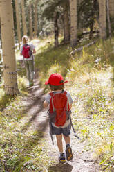 Rückansicht von Kindern auf dem Naturlehrpfad - MINF15042