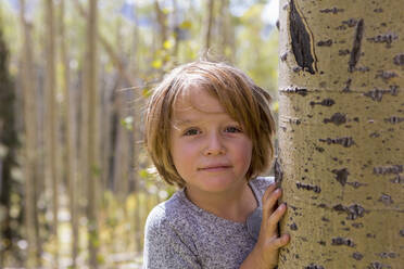 Portrait of 4 year old boy hiding behind aspen tree - MINF15043