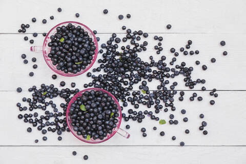 Two bowls of fresh wild blueberries stock photo