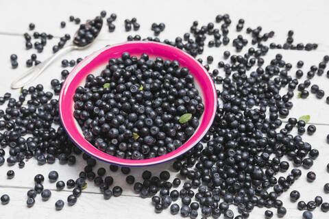 Schale mit frischen wilden Heidelbeeren, lizenzfreies Stockfoto