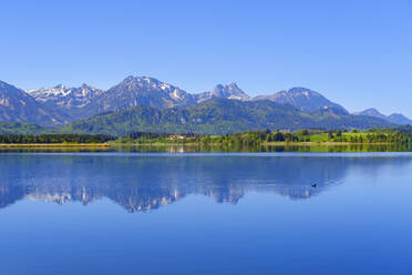 Blick auf die Tannheimer Berge, die sich im Hopfensee spiegeln - SIEF09983