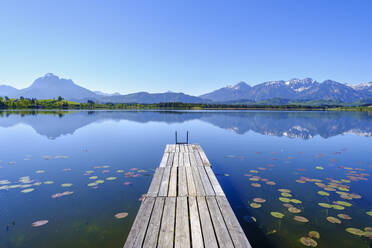 Jetty on shore of Hopfensee lake with Tannheim Mountains in background - SIEF09984