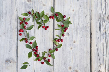 Green twigs and Cornelian cherries (Cornus mas) arranged in shape of heart - ASF06650