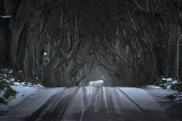 Straße mit leichter Schneedecke, die durch eine dunkle Heckenallee aus großen, blattlosen Buchen mit verschlungenen Ästen an einem bewölkten Tag führt - ADSF10497