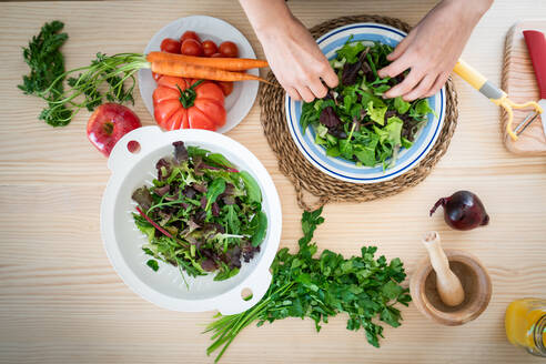 Anonyme Dame in bunter Jacke bereitet Gemüse zu, während sie in der Küche einen gesunden Salat zubereitet - ADSF10500