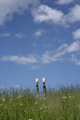 Junge im Gras gegen blauen bewölkten Himmel - VPIF02644