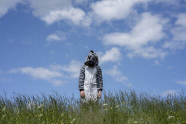 Junge im Zebrakostüm steht inmitten von Gras vor blauem Himmel - VPIF02645