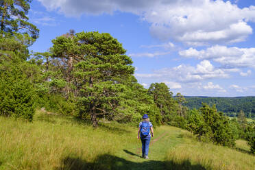 Senior woman hiking in Altmuhl Valley Nature Park during spring - SIEF09989