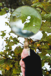 Gesichtslose Person in schwarzem Armwärmer, die ein Blatt eines Baumes durch ein Vergrößerungsglas im Winter untersucht - ADSF10608