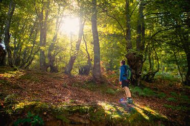 Back view of faceless hiker with backpack looking at sunlight while standing on hillside in forest in summer day - ADSF10622