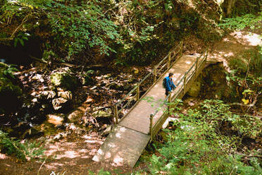 Von oben unerkennbarer Tourist, der auf einer Holzbrücke steht und die Naturlandschaft im Wald im Sommer betrachtet - ADSF10623