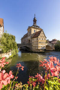 Deutschland, Bayern, Bamberg, Fluss Regnitz und altes Rathaus im Frühling - WDF06143