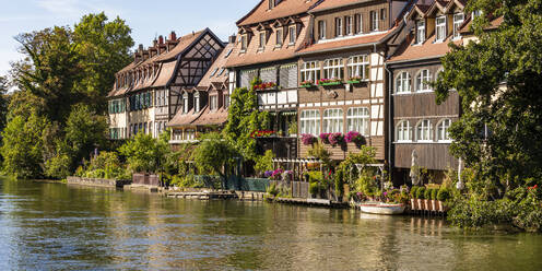 Deutschland, Bayern, Bamberg, Fluss Regnitz und Klein-Venedig-Stadthäuser im Frühling - WDF06146