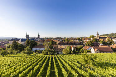 Deutschland, Bayern, Bamberg, Grüner Frühlingsweinberg mit Altstadt im Hintergrund - WDF06160