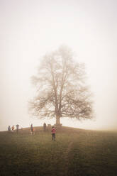 Menschen vor einem großen Baum in nebliger Landschaft - DHEF00243