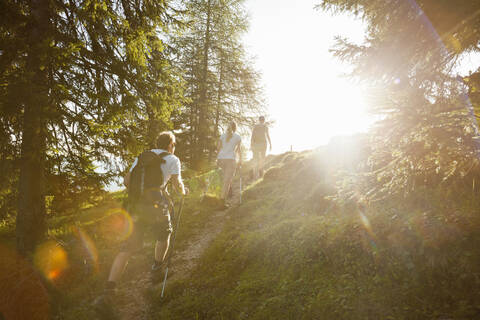 Drei Freunde beim Wandern in den Bergen, Achenkirch, Österreich, lizenzfreies Stockfoto