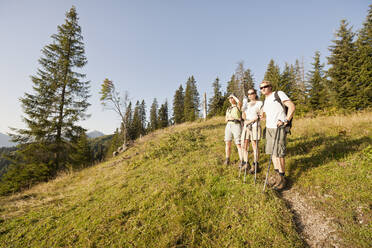 Drei Freunde beim Wandern in den Bergen, Achenkirch, Österreich - DHEF00315