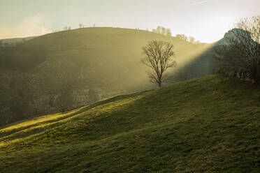 Tranquil hazy view of green trees and hills covered with grass and illuminated with sun in Cantabria - ADSF10706