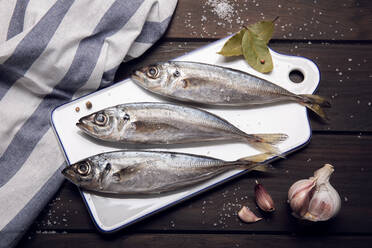 Frischer Makrelenfisch auf dem Schneidebrett, bereit zum Kochen. Rohe Meeresfrüchte - ADSF10834