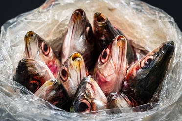 Nahaufnahme von rohem Fisch in offener Plastiktüte Köpfe ragen heraus - ADSF10839