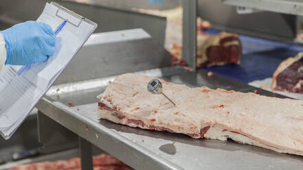 Crop inspector in uniform and blue gloves checking meat with thermometer and writing information in document - ADSF10882