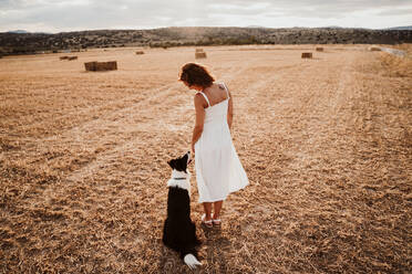 Frau mit Hund auf einem Feld bei Sonnenuntergang - EBBF00552