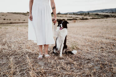 Frau mit Hund im Feld bei Sonnenuntergang - EBBF00571